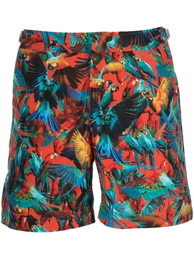 Shop Orlebar Brown Parrot Print Swim Shorts In 彩色