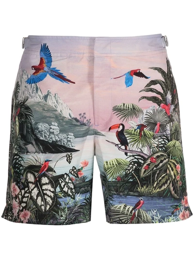 Shop Orlebar Brown Into The Jungle Print Mid-length Swim Shorts In 彩色