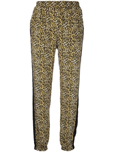 Shop Gold Hawk Leopard Print Trousers In 绿色