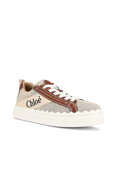 Shop Chloé Lauren Sneakers In White & Brown