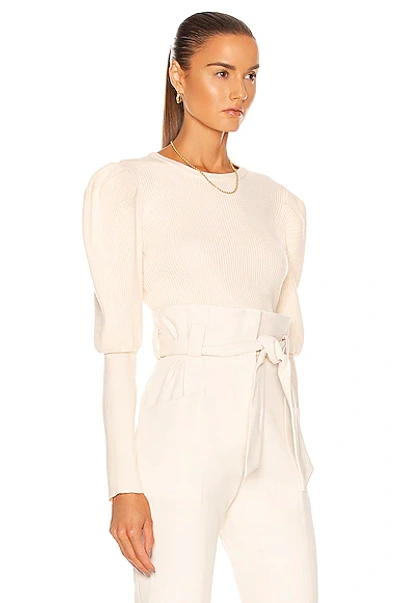 Shop Jonathan Simkhai Standard Levy Top In Sandstone