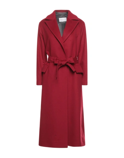 Shop Annie P . Woman Coat Red Size 8 Virgin Wool, Cashmere