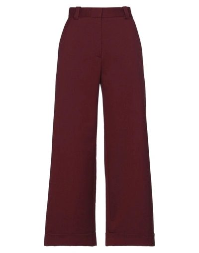 Shop See By Chloé Pants In Maroon