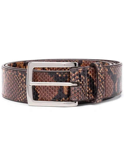 Shop Gmbh Snakeskin-effect Buckle Belt In Brown