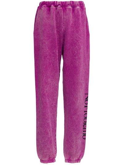 Shop Aries No Problemo Pink Cotton Jogger