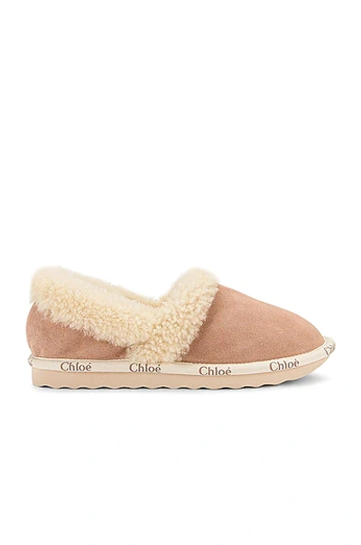 Shop Chloé Woody Shearling Flats In Maple Pink