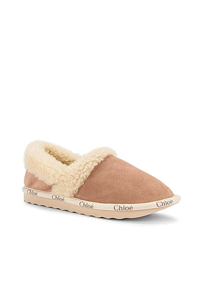 Shop Chloé Woody Shearling Flats In Maple Pink