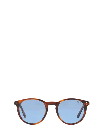 Shop Polo Ralph Lauren Round Frame Sunglasses In Brown