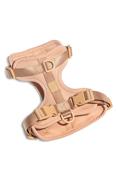 Shop Wild One Dog Harness In Tan