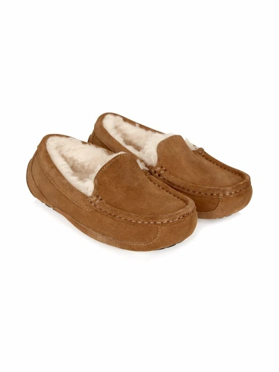 Shop Ugg Ascot Wool-lined Slippers In Brown