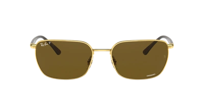 Ray Ban Ray In Polarized Brown Classic