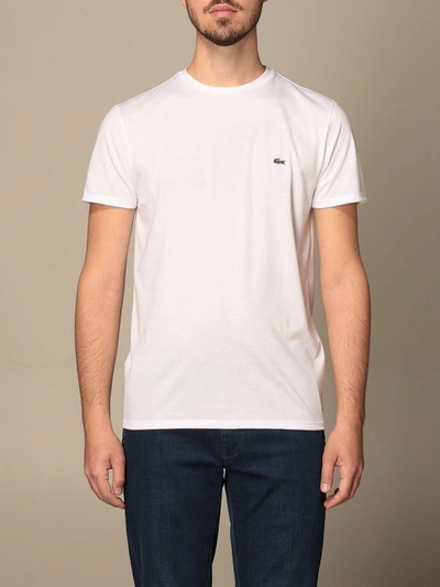 Shop Lacoste Basic Cotton Tshirt With Logo In White