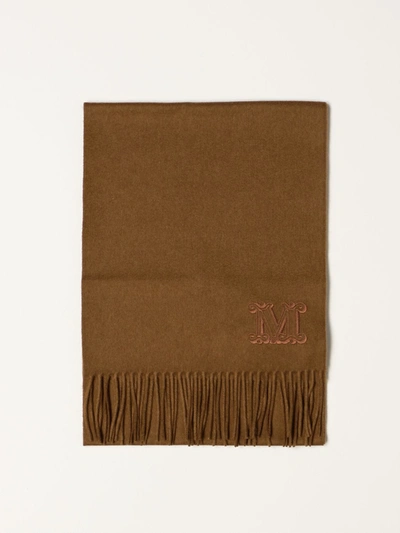 Shop Max Mara Cashmere Scarf In Leather