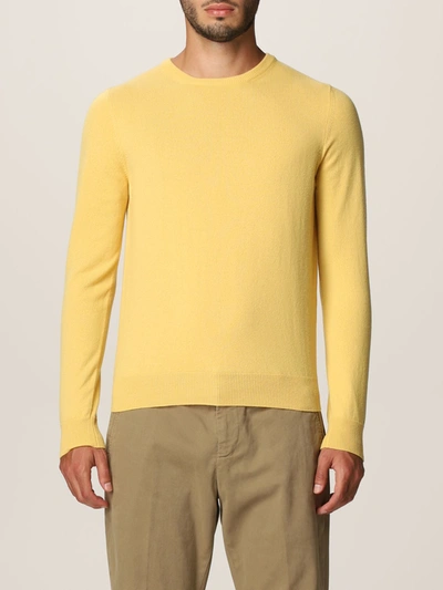 Shop Malo Sweater  Men Color Yellow