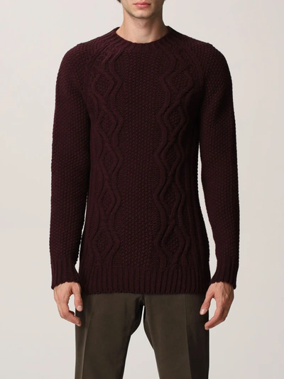Shop Brooksfield Sweater  Men Color Plum