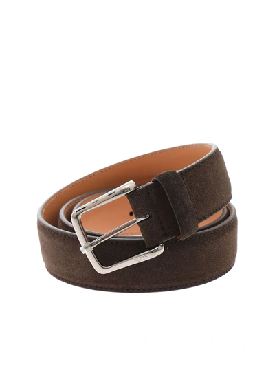 Shop Tod's New Basic Belt In Brown