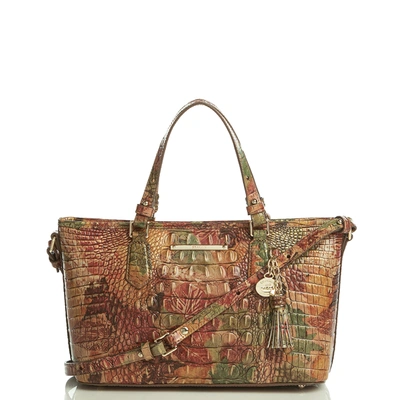 Brahmin Mini Asher Foliage Melbourne ModeSens