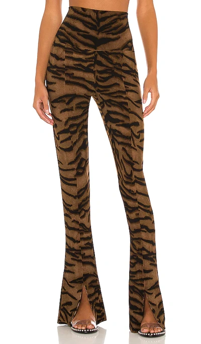 Shop Norma Kamali Spat Legging In Brown