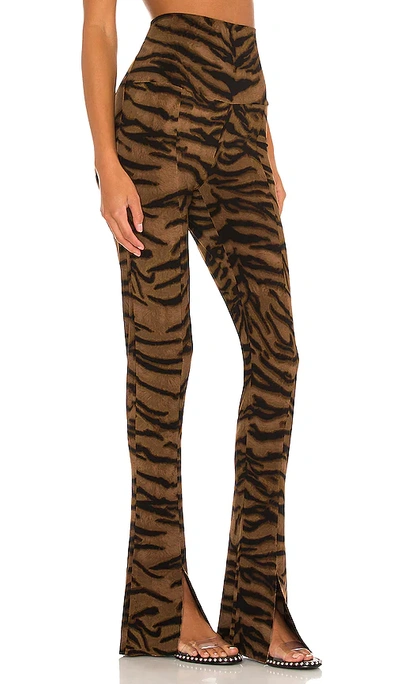 Norma Kamali Spat Legging In Brown