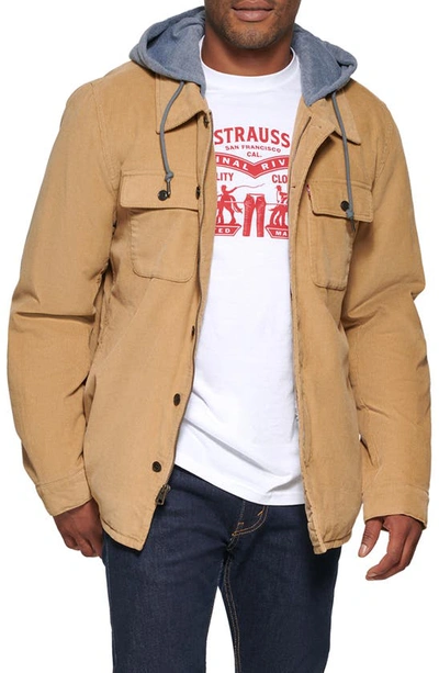 Shop Levi's Faux Shearling Lined Hooded Corduroy Shirt Jacket In Tan