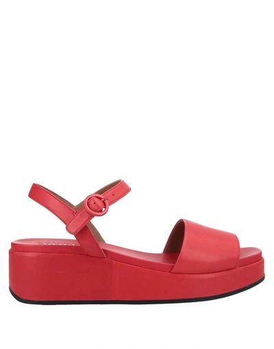Shop Camper Sandals In Red