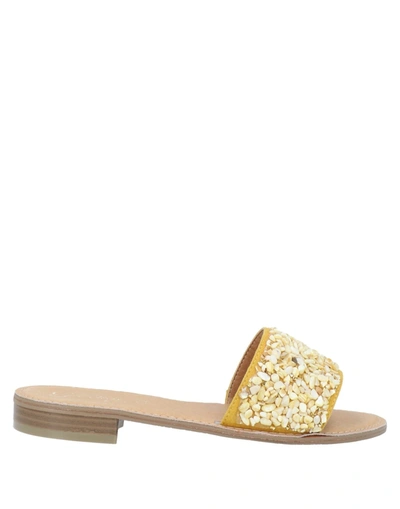Gardini Sandals In Yellow