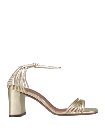 Shop L'autre Chose L' Autre Chose Woman Sandals Gold Size 5 Soft Leather