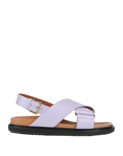 Shop Marni Sandals In Lilac