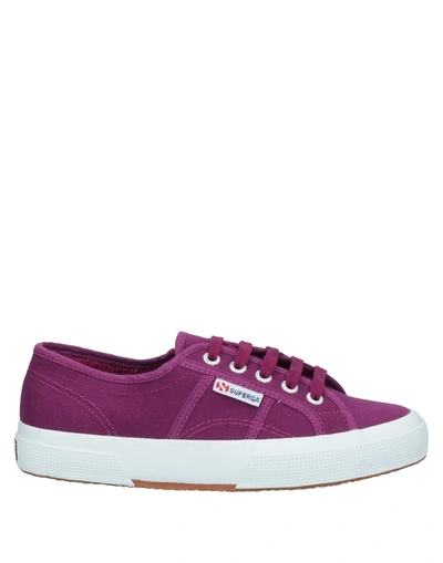 Shop Superga Sneakers In Purple
