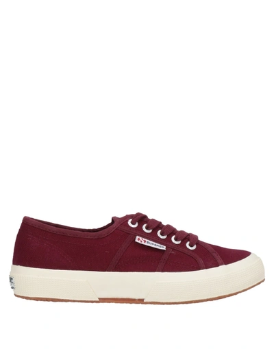 Shop Superga Sneakers In Garnet