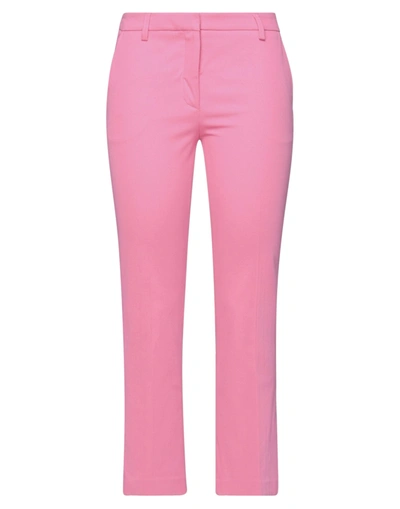 Shop True Royal Woman Pants Fuchsia Size 10 Cotton, Elastane In Pink