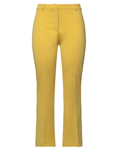 Shop Pinko Woman Pants Yellow Size 8 Viscose, Polyamide, Elastane