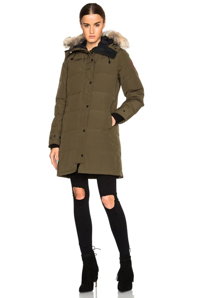 Shop Canada Goose Shelburne Parka With Coyote Fur In Military Green