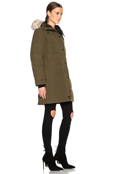 Shop Canada Goose Shelburne Parka With Coyote Fur In Military Green