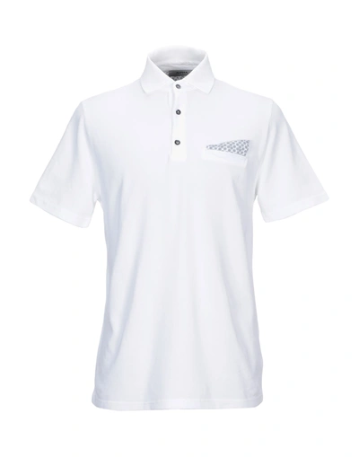 Shop Alpha Studio Man Polo Shirt White Size 46 Cotton