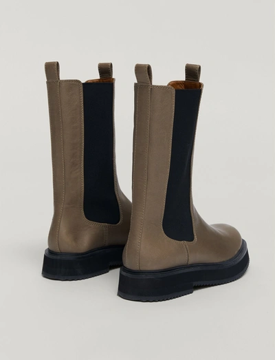 Shop Joseph Leather British Chelsea Boots In Taupe