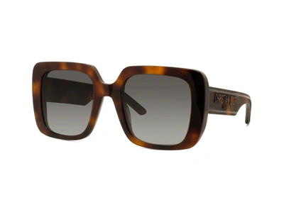 Shop Dior Wil S3u Havana Square Sunglasses