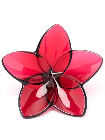 Shop Baccarat Bloom Flower Decoration In Rot