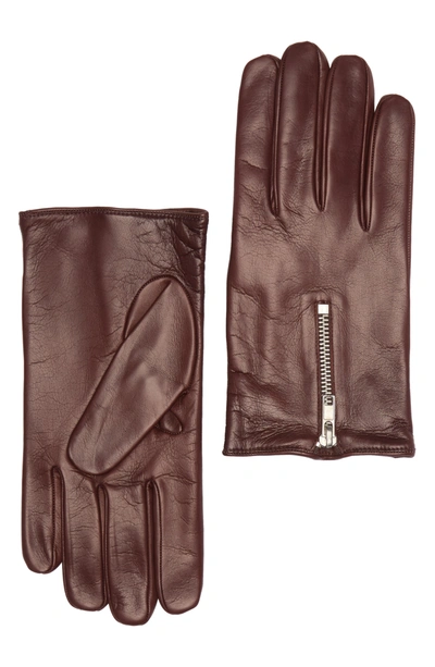 Shop Portolano Portlano Nappa Leather Cashmere Lined Gloves In Castagna Chestnut