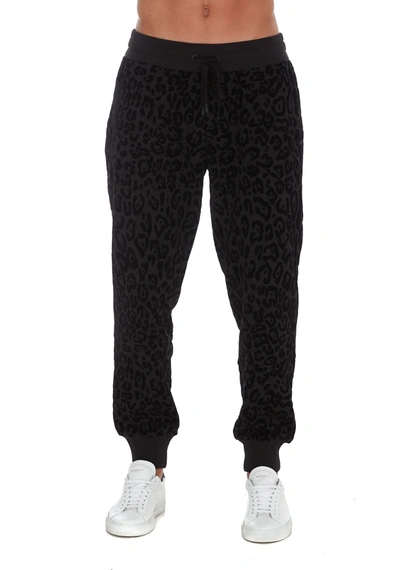 Shop Dolce & Gabbana Leopard Print Sweat Pants In Black