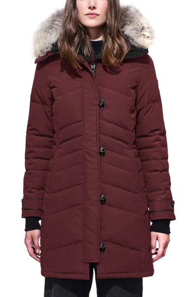 Shop Canada Goose Lorette Hooded Down Parka With Genuine Coyote Fur Trim In Elderberry