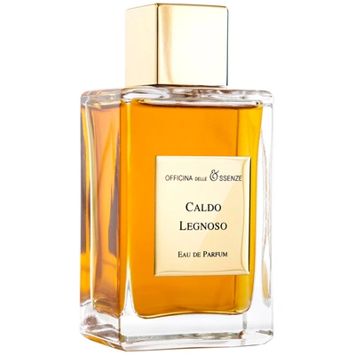 Shop Officina Delle Essenze Caldo Legnoso Perfume Eau De Parfum 100 ml In Brown
