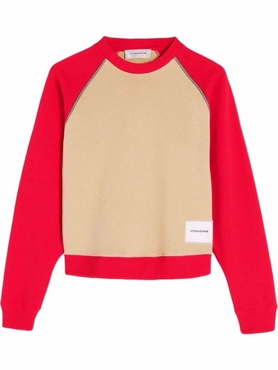 Shop Victoria Beckham Colour-block Crewneck Sweatshirt In Nude