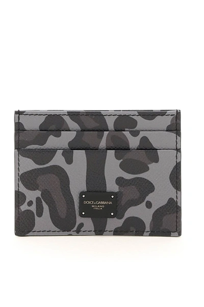 Shop Dolce & Gabbana Leopard Print Card Holder In Leo M Grigia Fdo Gri (grey)