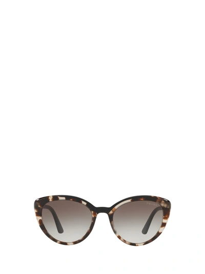Shop Prada Pr 02vsf Opal Spotted Brown / Black Sunglasses