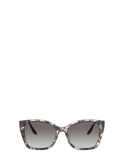 Shop Prada Pr 12xs Orchid Tortoise Sunglasses