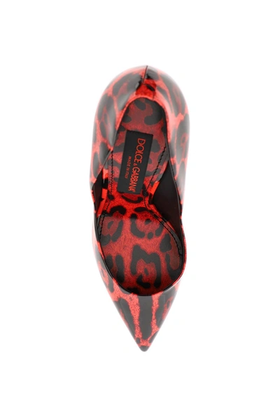 Shop Dolce & Gabbana Printed Patent Leather Pumps In Mixed Colours