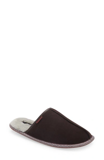 Shop Ted Baker Peter Mule Slipper In Brown