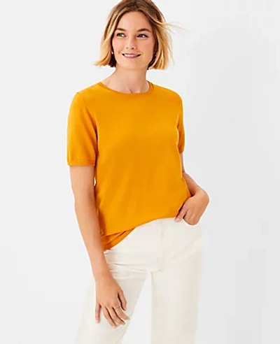 Shop Ann Taylor Petite Sweater Tee In Radiant Gold