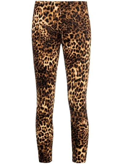 Shop Junya Watanabe Leopard-print Leggings In Braun